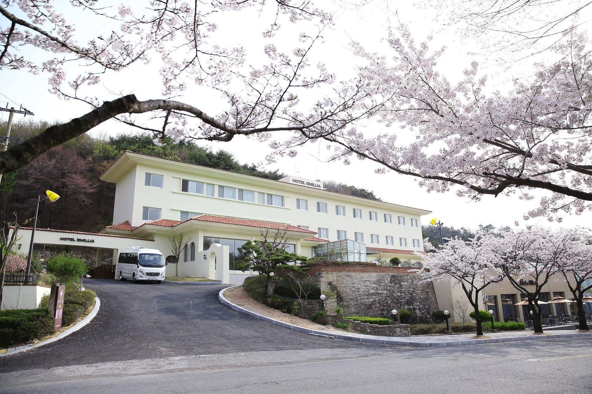 Palgong Emillia Hotel 大邱 エクステリア 写真